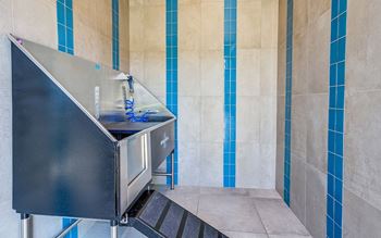 Pet washing station